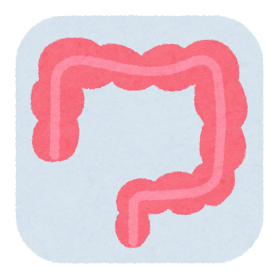 大腸イメージ